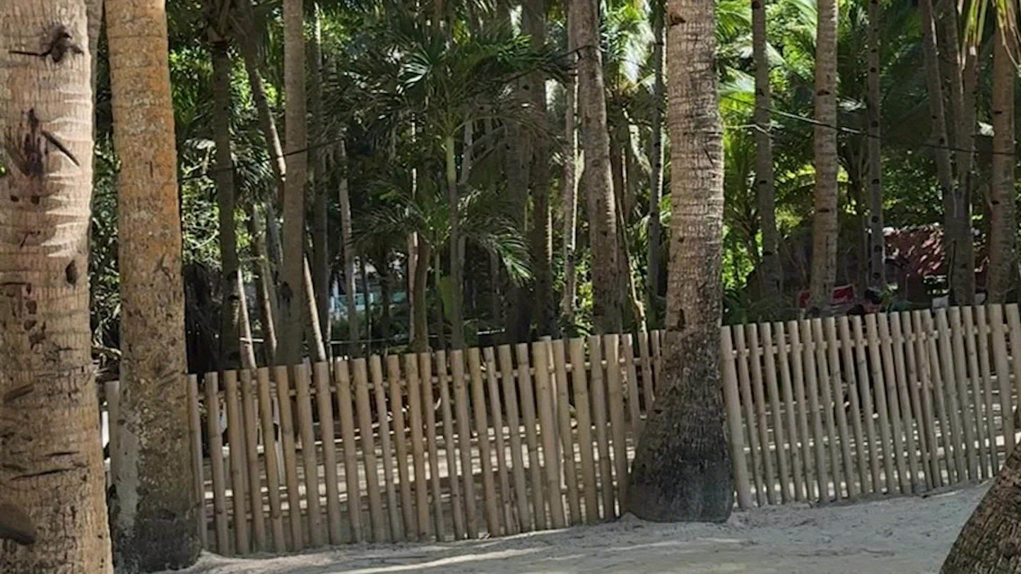 Peiko X9 Voice Translator with 136 Languages, Wireless & Offline Translation, Rechargeable Battery, Type-C Charging, Compact Design for Travel & Group Use Headphones