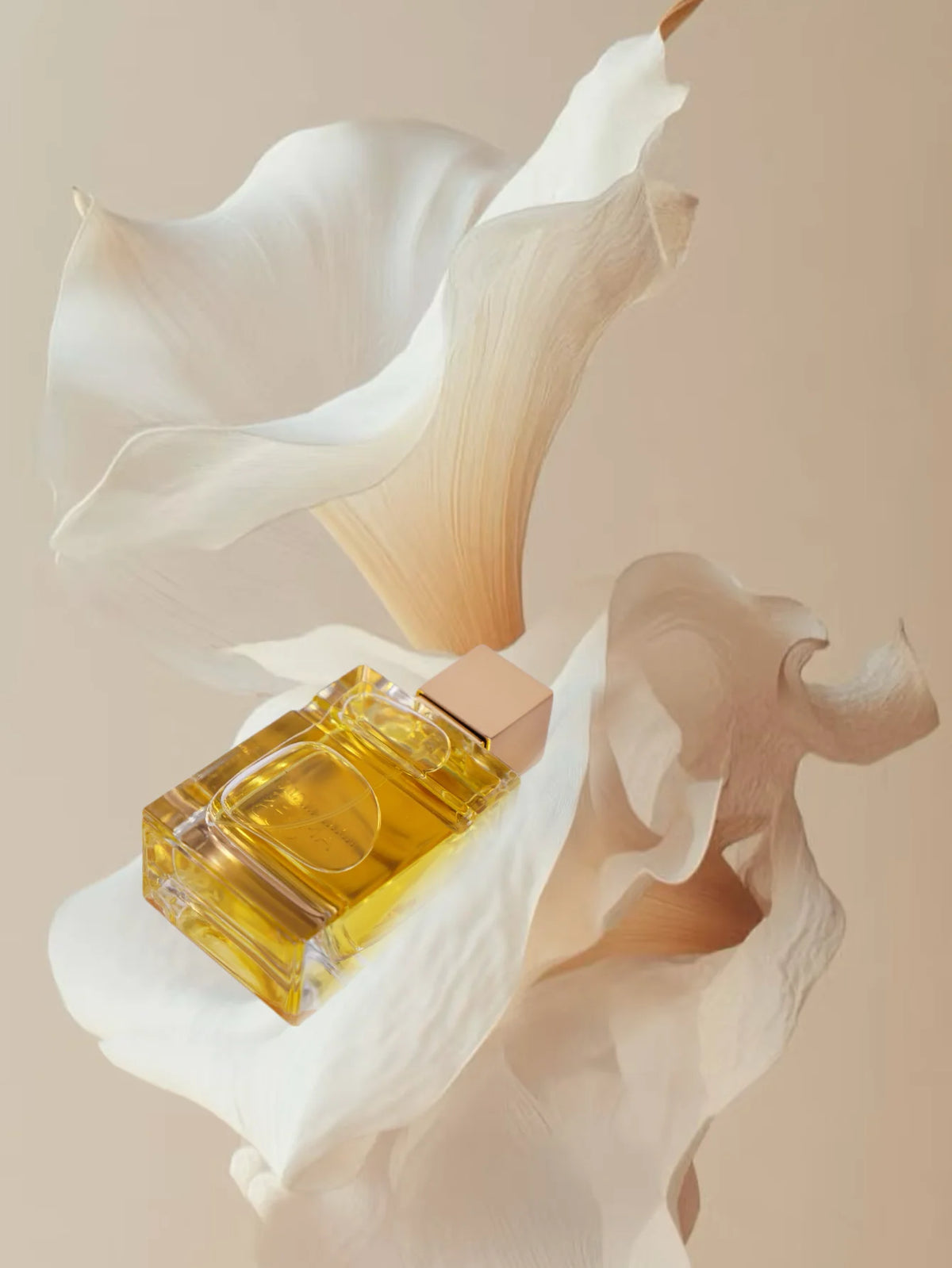 CBXESN Vanilla Amber Fruity Musk Long Lasting Unisex Perfume