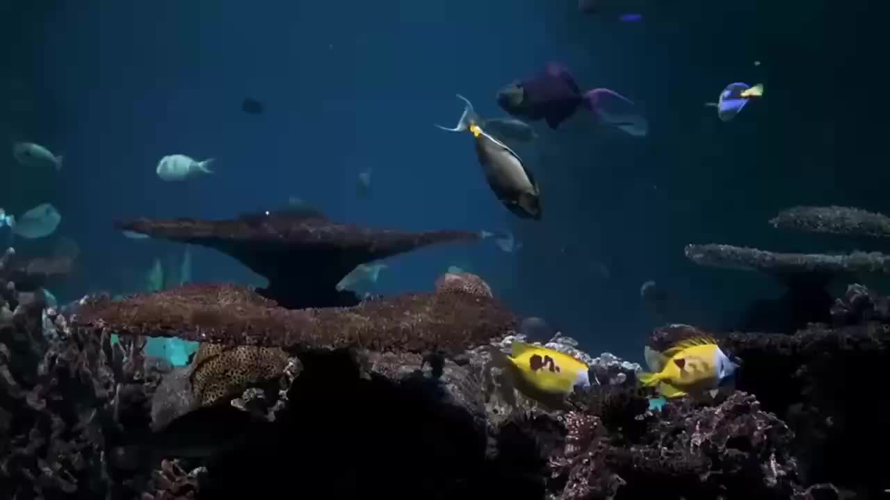 101Pcs Universal PVC Phone Bag With Adjustable Lanyard For 7 Inch Smartphones Beach Vacations Water Sports Gift