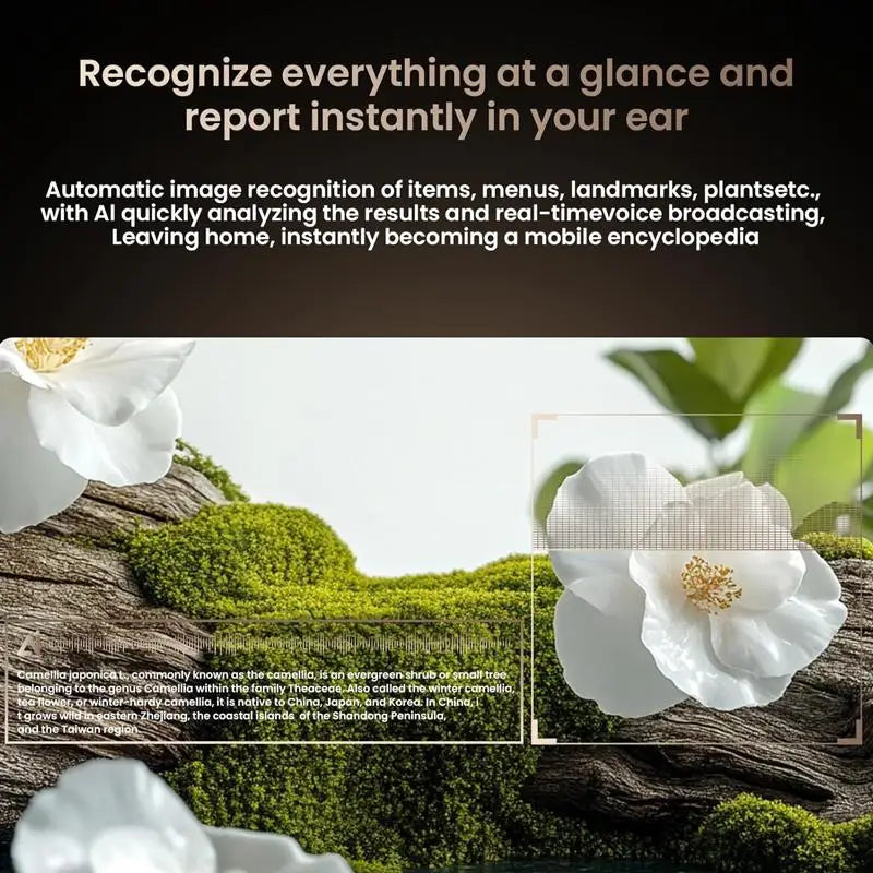 AI Smart Glasses With 4K Camera And Translator Bluetooth 5.3