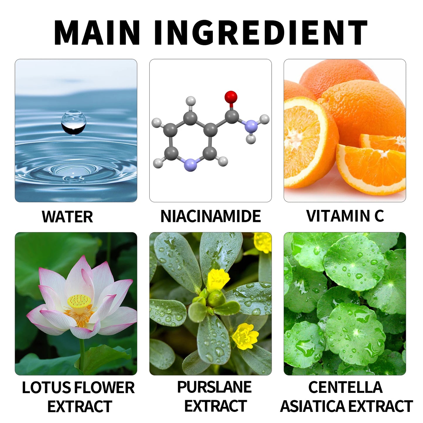 Eelhoe Niacinamide Toner Vitamin C Brightening Anti Aging Moisturizing