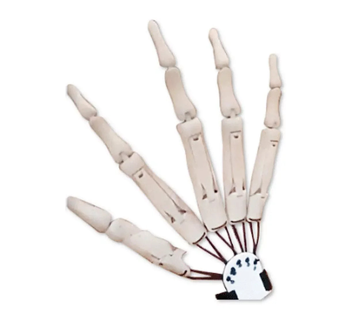 3D Printed Halloween Articulated Fingers Extensions Flexible Joints Movable Wearable Long Fingers Decoration Props Claw Cosplay