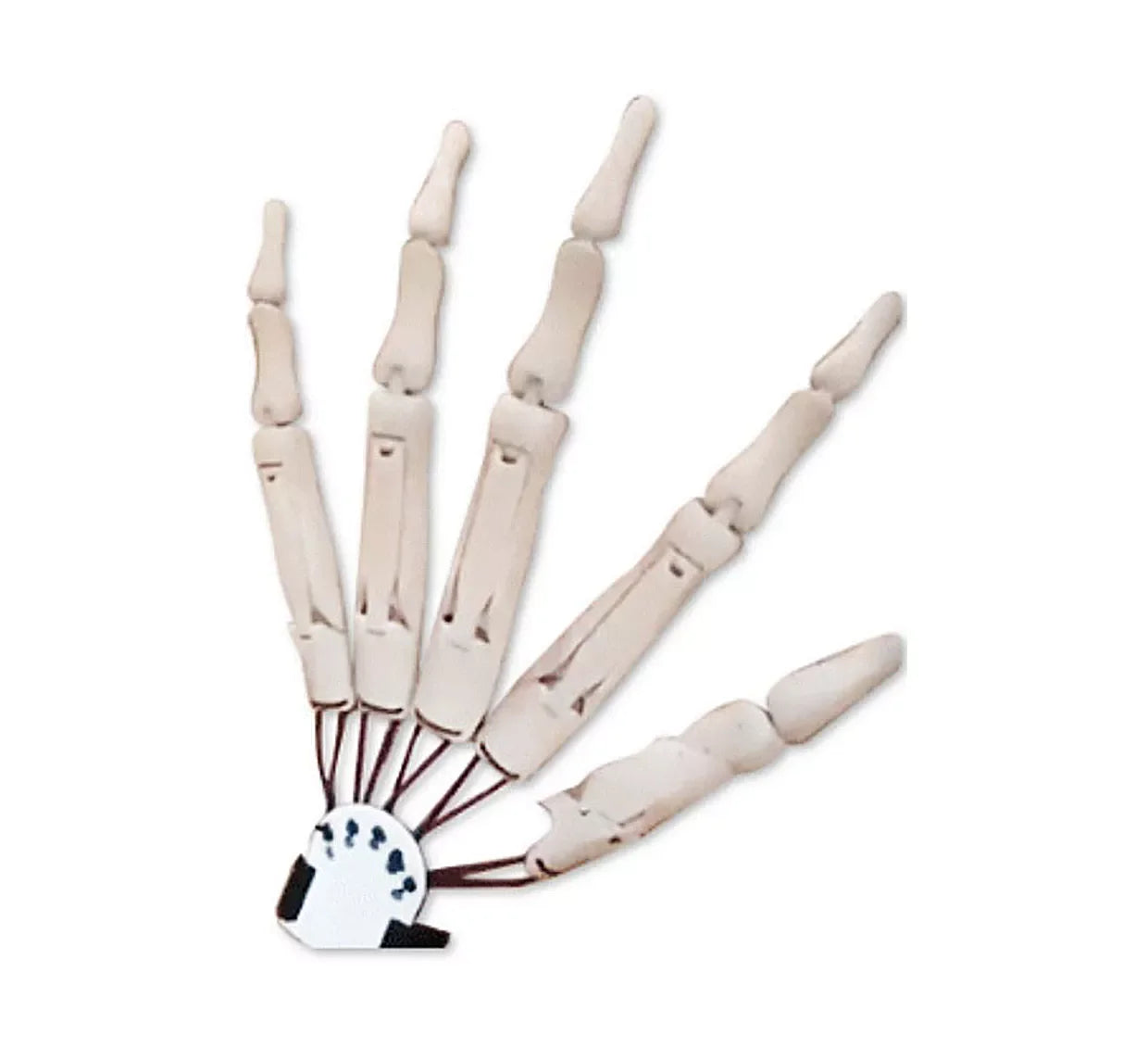 3D Printed Halloween Articulated Fingers Extensions Flexible Joints Movable Wearable Long Fingers Decoration Props Claw Cosplay