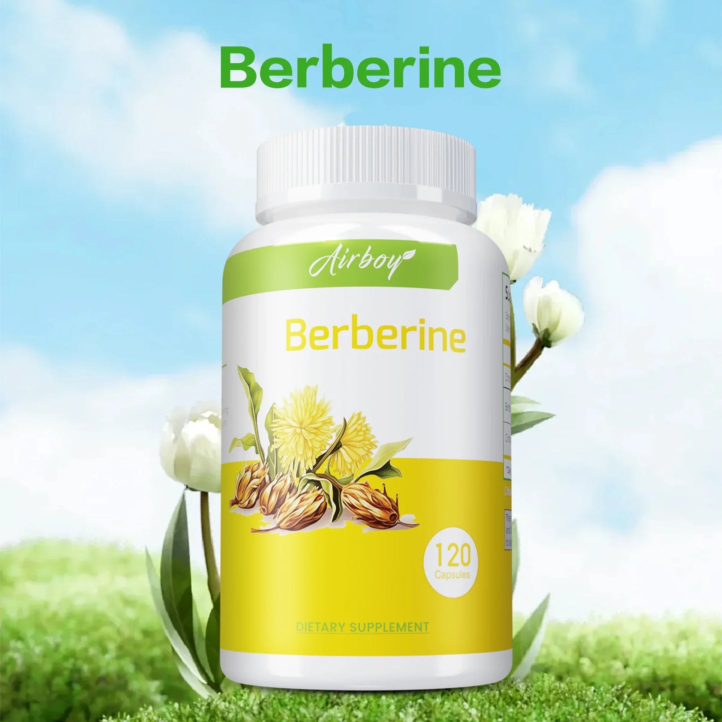Berberine Supplement -  Antioxidants,Heart Health, Immune System Support - 120 Capsules